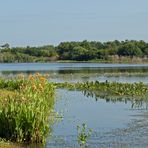 Lake Osprey...