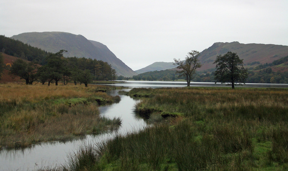 Lake panorama