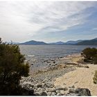 Lake Pedder#4....