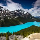 Lake Peyto