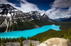 Lake Peyto