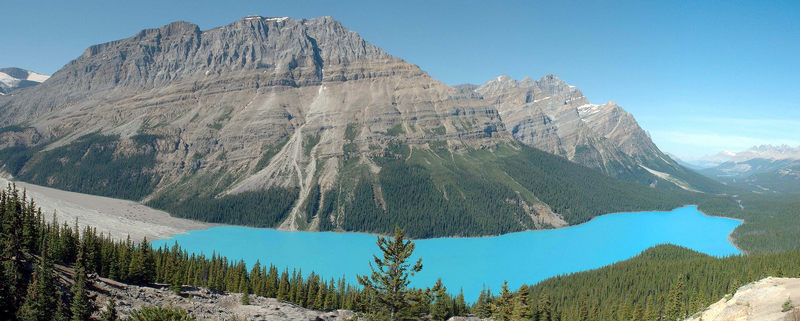 Lake Peyto