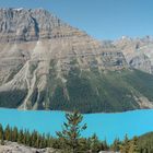 Lake Peyto