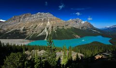 Lake Peyto