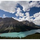 Lake Peyto