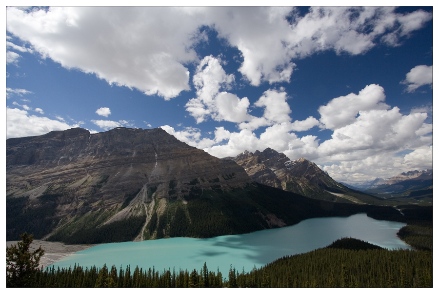 Lake Peyto