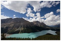 Lake Peyto