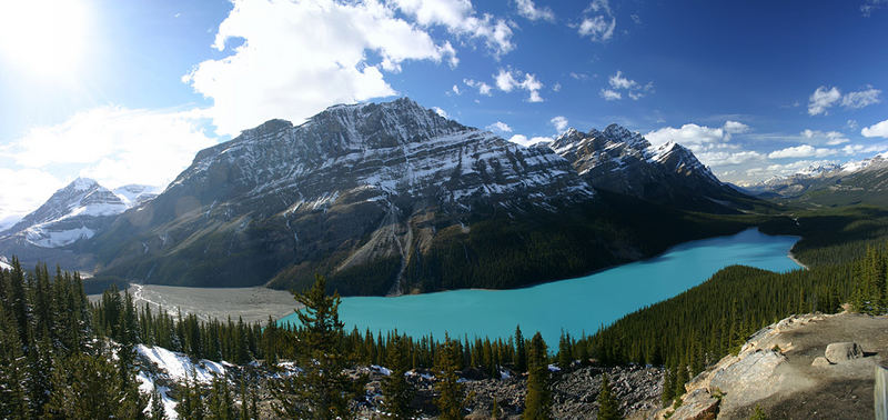 Lake Peyto, Banff N.P.