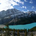 Lake Peyto, Banff N.P.