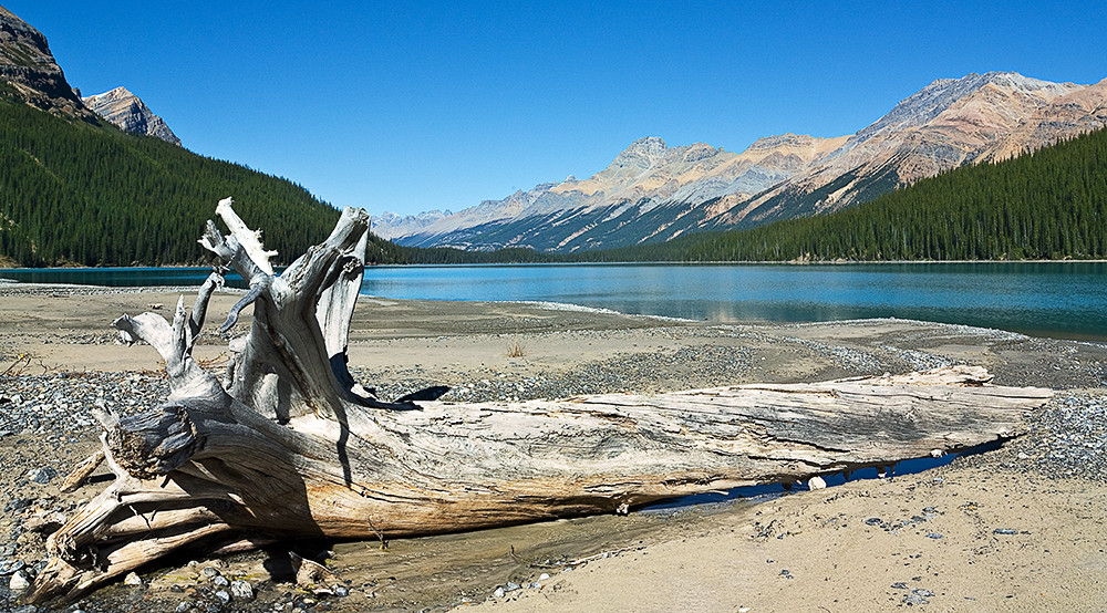 Lake Peyto - Canada 2008