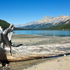 Lake Peyto - Canada 2008