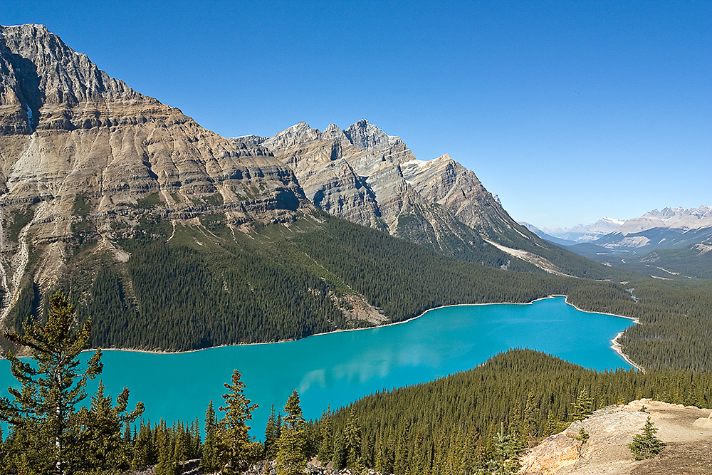 Lake Peyto - Canada 2008