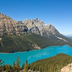 Lake Peyto - Canada 2008