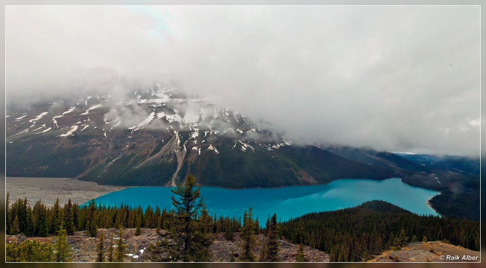 Lake Peyto