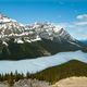 Lake Peyto