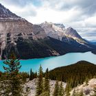 Lake Peyto