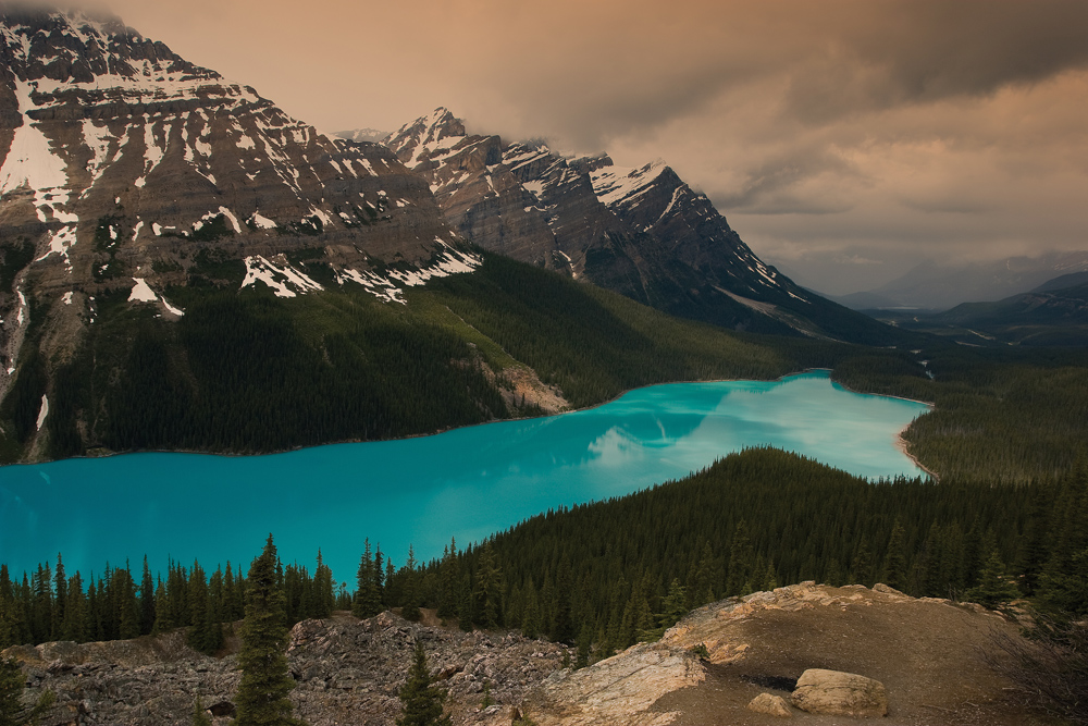 Lake Peyto/Alberta CA