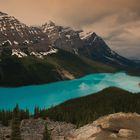 Lake Peyto/Alberta CA