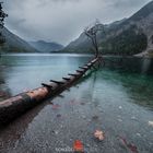 Lake Plansee Tirol Austria