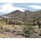 Lake Pleasant , Arizona