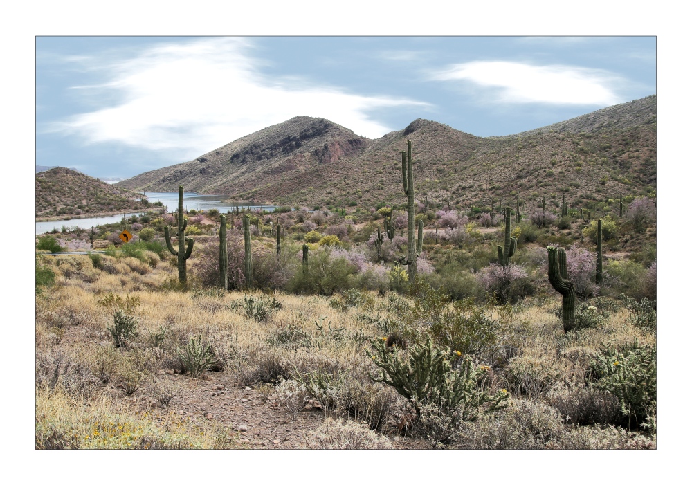 Lake Pleasant , Arizona