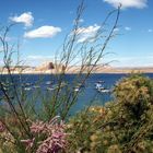 Lake Powell