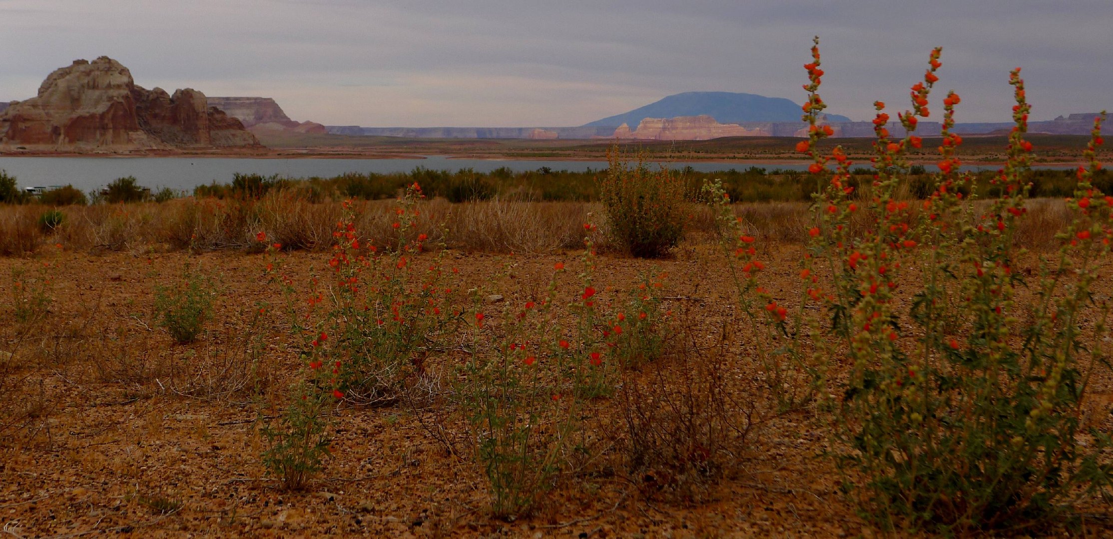 Lake Powell