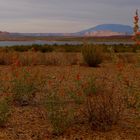 Lake Powell