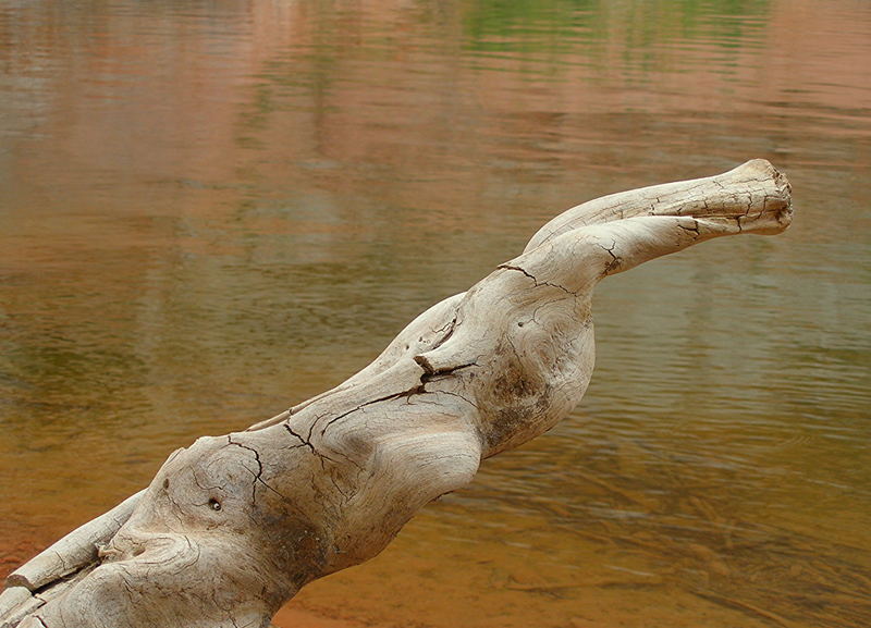 Lake Powell Nessie