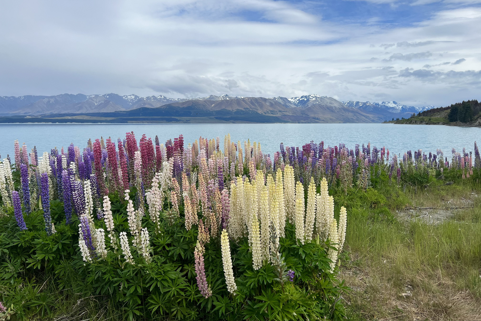 Lake Pukaki