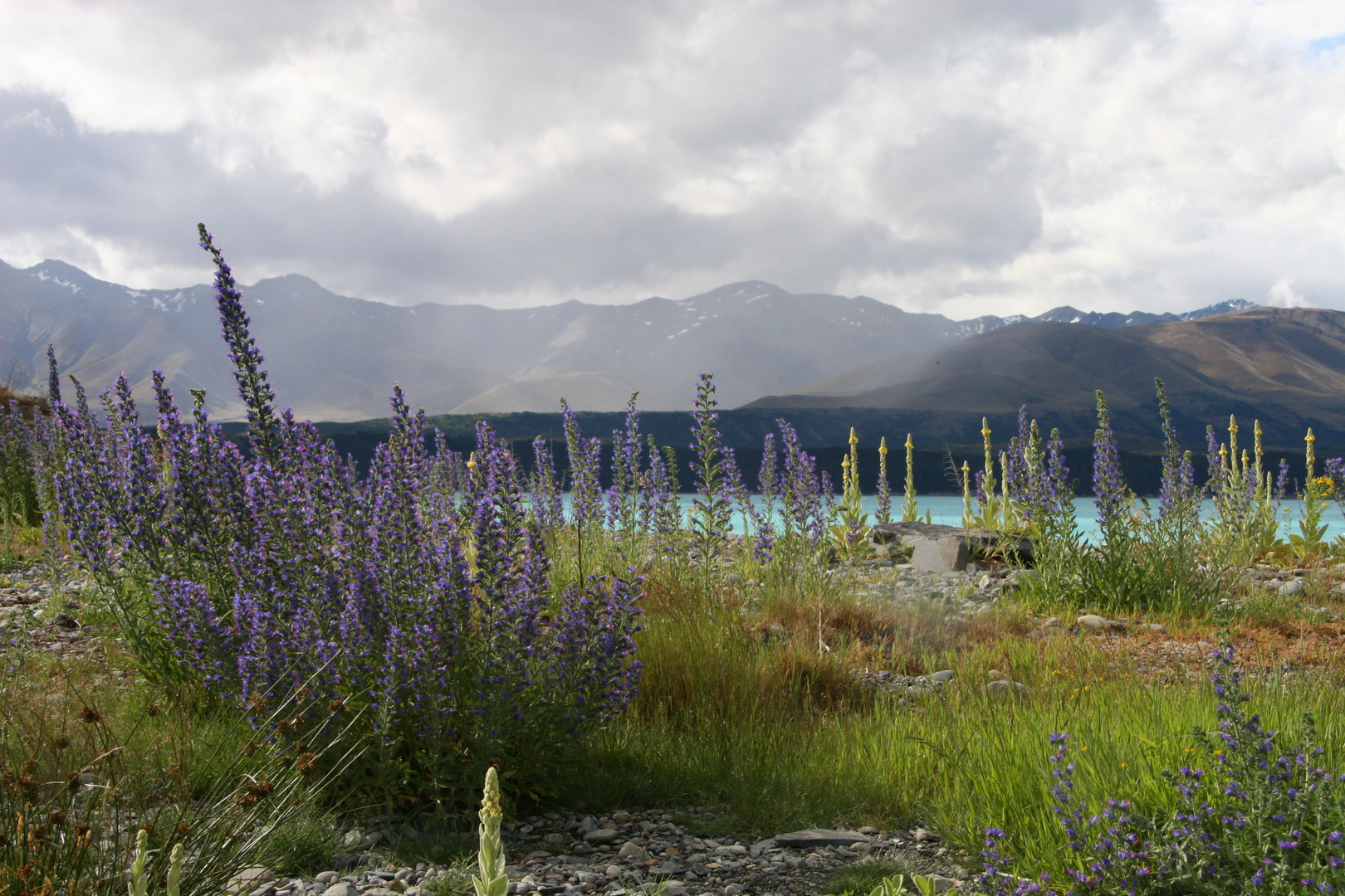 Lake Pukaki