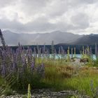 Lake Pukaki