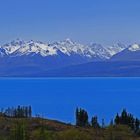 ~ Lake Pukaki and Mt. Cook ~