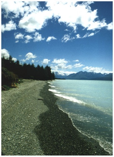 lake pukaki II