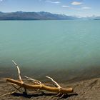 Lake Pukaki Panorama