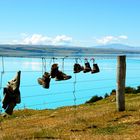 Lake Pukaki some things forgotten