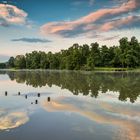 Lake reflections