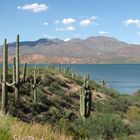 Lake Roosevelt, Arizona