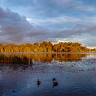 Lake Rotoroa...