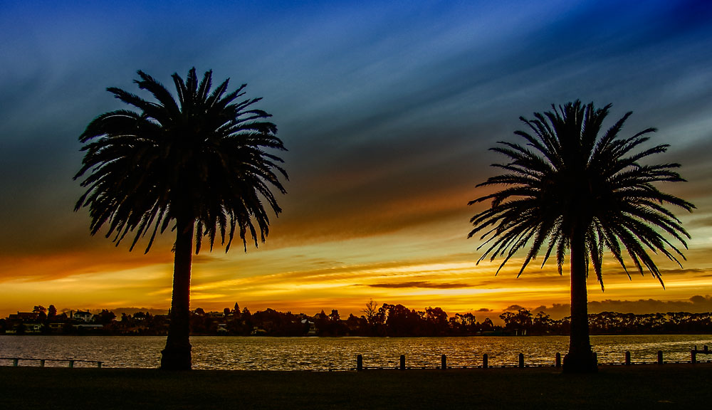 Lake Rotoroa II