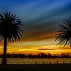 Lake Rotoroa II