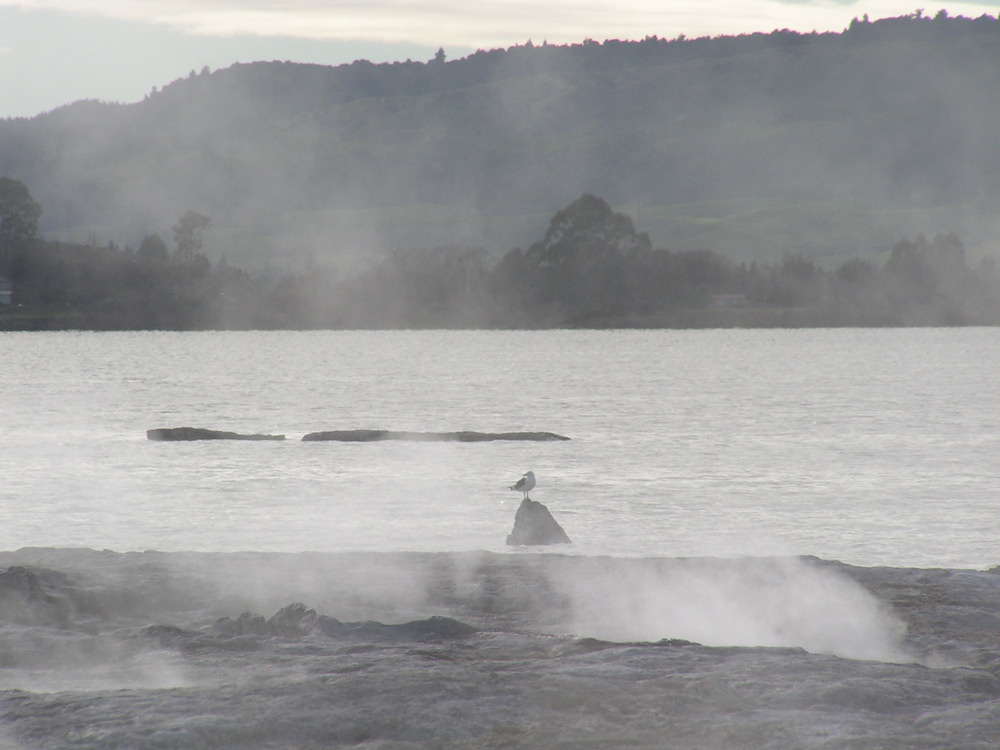 Lake Rotorua