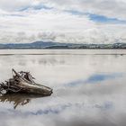 Lake Rotorua