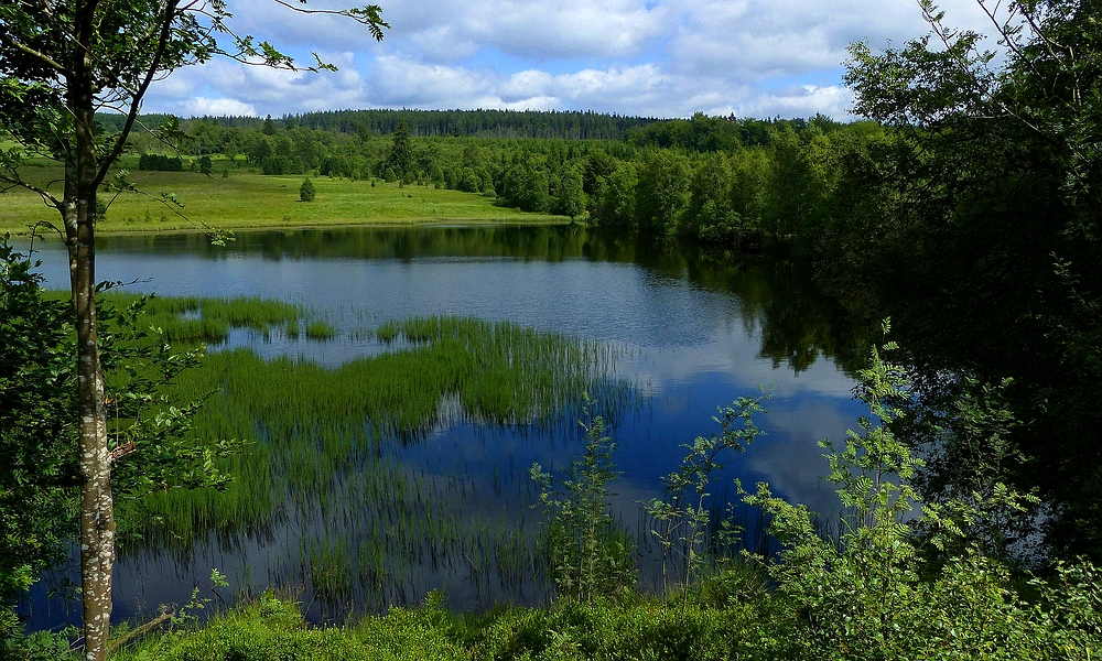 Lake ‘Schwarzbach’