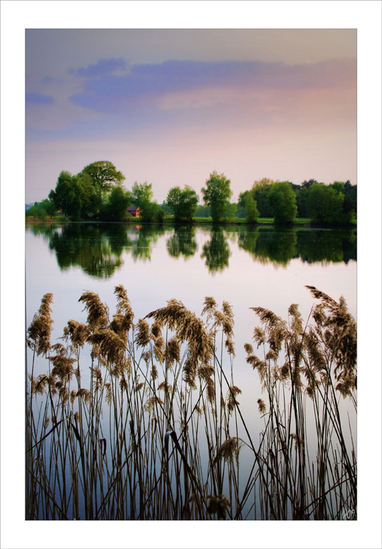 Lake side view