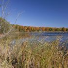 Lake Simcoe