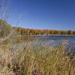 Lake Simcoe