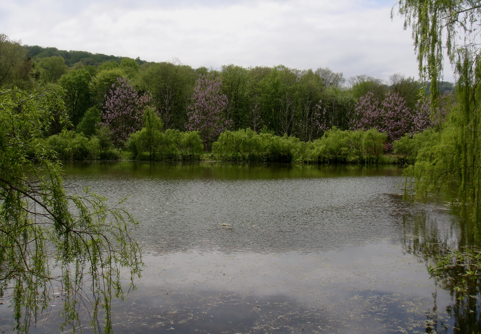 Lake & Spring...