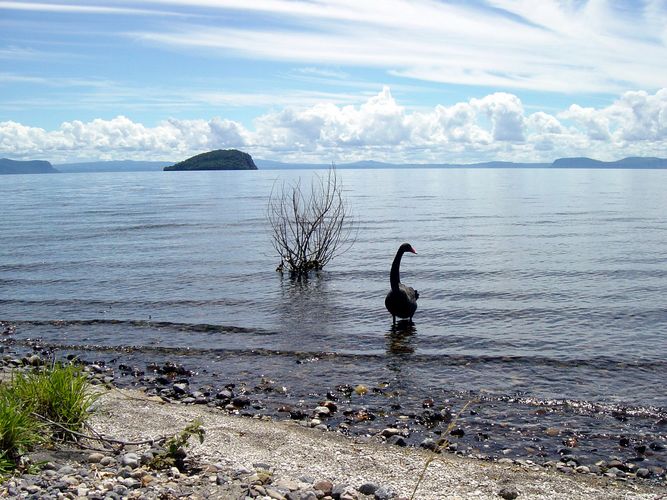 Lake Taupo