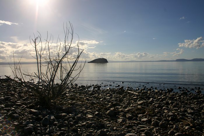 lake taupo